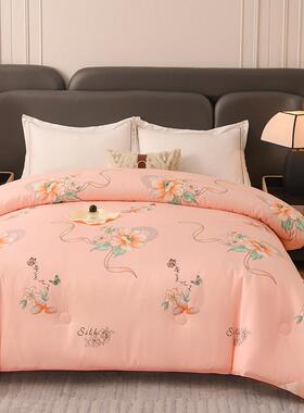 加厚桑丝子冬被子保暖秋春冬季丝棉被芯ZRZ双人冬天被棉絮太空被