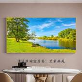 别墅房画清高挂画客厅沙发墙装 饰晶瓷画镶钻画VDS温床头田园馨风