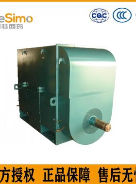 电机YX高压普通电机-5003-21120W负载62效率95.6IP55