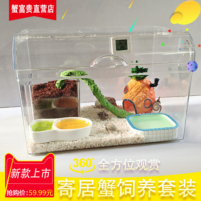 寄居蟹豪华别墅新手养殖套餐