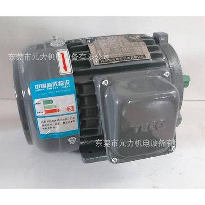 TECO东元电机马达AEMB3N/AEMV3N