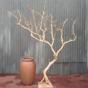 去皮干树枝造景干枝树干许愿树枯树室内造型树枝干树枝装饰树