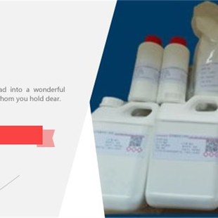 氧化锆();二氧化锆;锆酸酐;颜料白