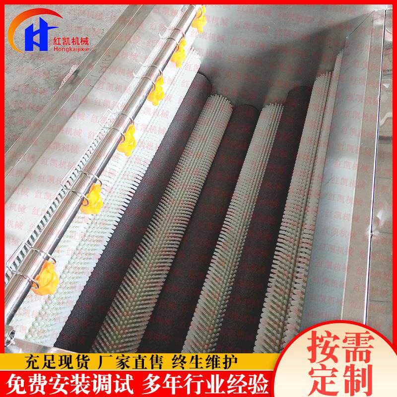 厂家压供应榨菜毛辊洗机 高清喷去泥去杂清洗1000机淋 多功能清洗