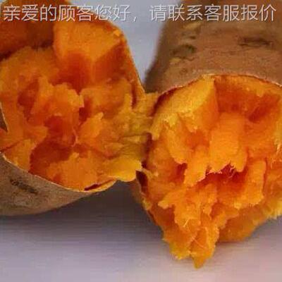 烤红薯AAN机商热用薯炭加烤马铃炉子地木瓜玉米保温烘烤机