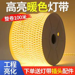 灯带led灯条超亮户外防水工程氛围灯室外暖光220v客厅吊顶灯带条