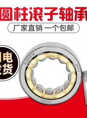 圆柱滚子轴承NJ2305 2306 2307 2308 2309 2310 2311 2312 2313EM