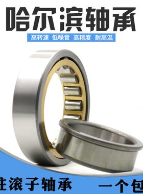 哈尔滨轴承RN219 222 228 312 313 328M