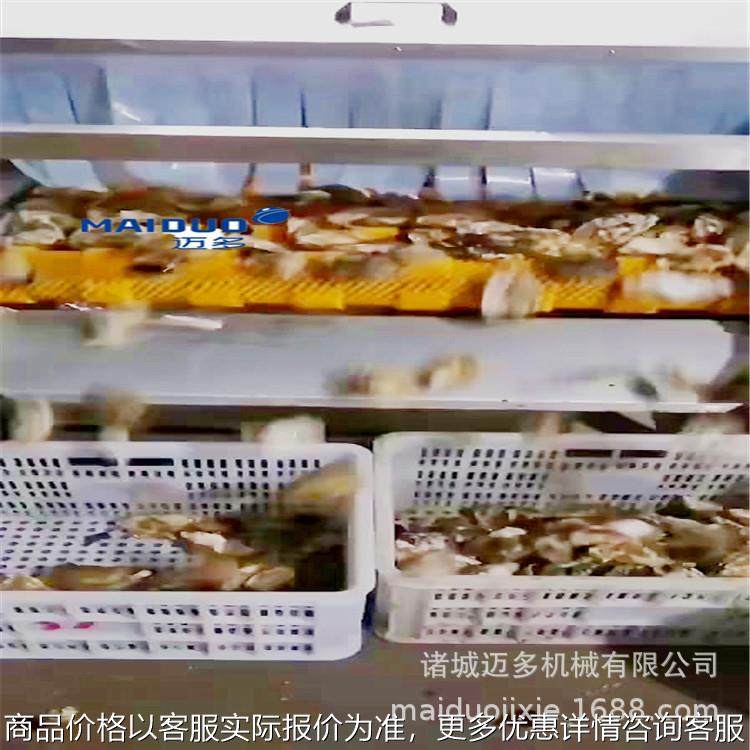 蘑菇清洗机 菌类产品清洗机 蘑菇加工设备