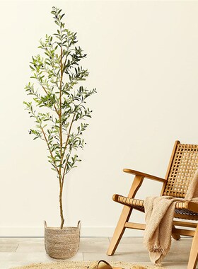 仿真橄榄树实木杆落地绿植盆v栽室内客厅工业侘寂风格假树植物装