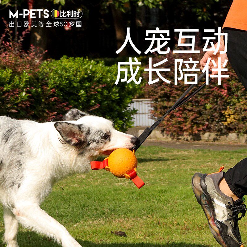 狗狗玩具球边牧自嗨拉布拉v多柯基训练专用橡胶球耐咬漂浮宠物用