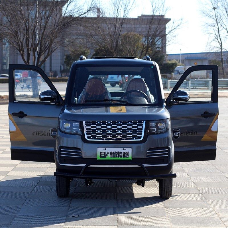 新能源电动小汽车成人油电两用四轮接孩子代步轿车老头乐女士家用