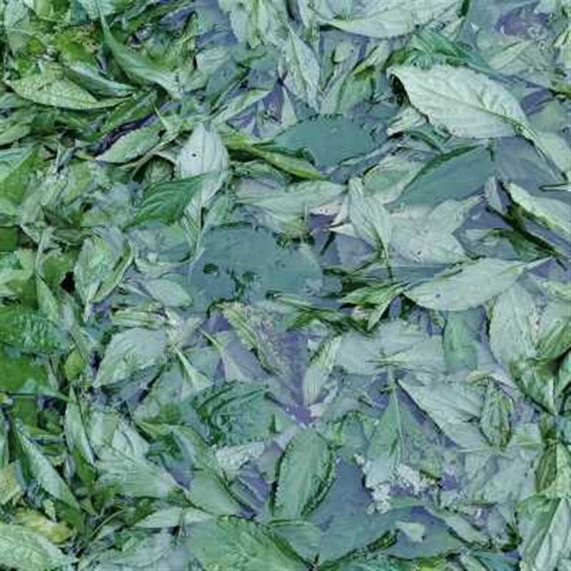 蓝靛体验包靛泥染色包靛膏草木染蓝染型糊染蜡染扎染免煮染色