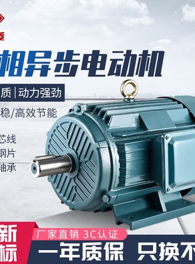 交流三相380V电机YE3-132S2-2 7.5kwYE3-132S1-2 5.5kw异步电动机