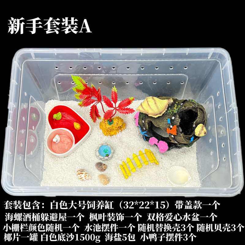 主题短草莓套装寄居蟹 儿童邮  腕套装灰白 寄居蟹 包新手深紫