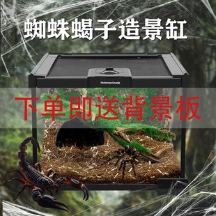 BG蜘蛛饲养箱生态爬虫爬宠饲养缸雨林造景玻璃缸螳螂甲虫昆虫蝎子