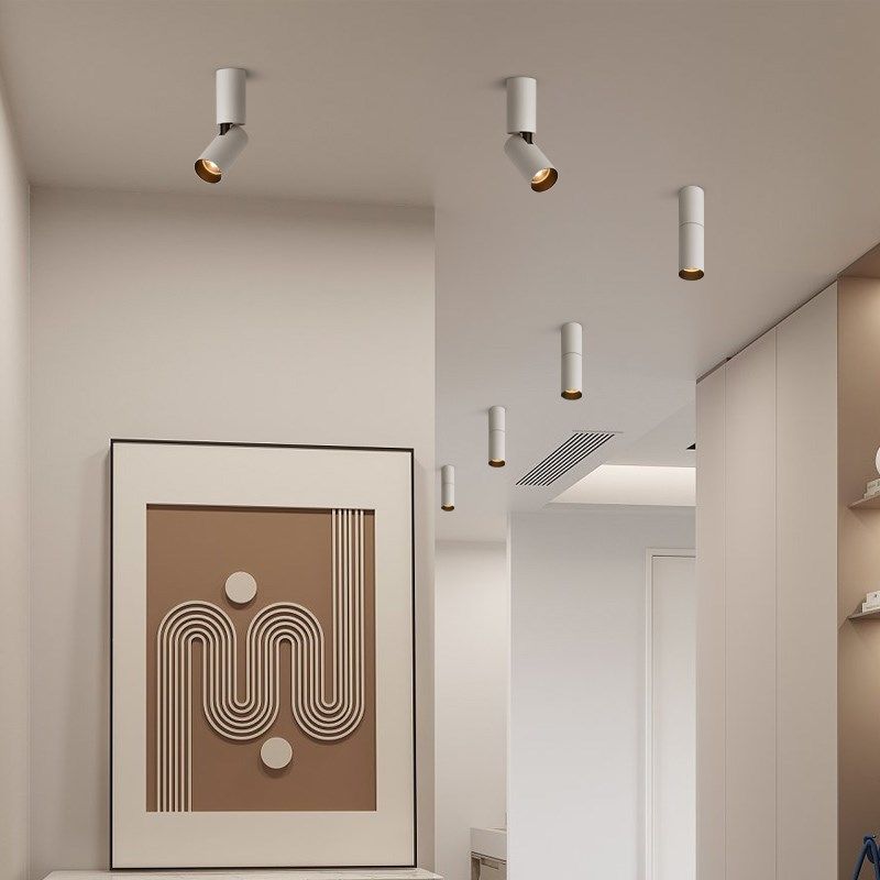 led圆柱形明装射灯加长筒灯可调角度吸顶式背景墙餐厅创意吧台灯,家装灯饰光源,明装射灯,淘宝优惠券,粉丝福利购,淘宝优惠卷