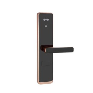 智能门锁人脸识别锁房门锁家用通用型锁密码 刷卡适合防盗门木门锁