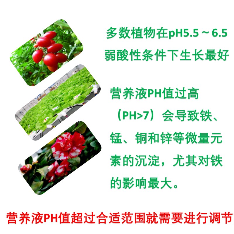 PH值调低剂/降低ph值无土栽培营养液调节酸碱度鱼缸水族箱ph调节