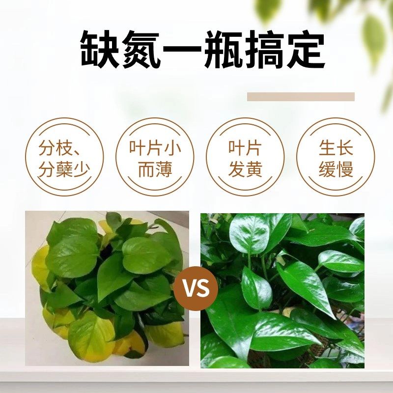 金丝楠木树苗专用氮肥营养液家庭院盆栽绿植物浓缩水溶性花卉肥料,鲜花速递/花卉仿真/绿植园艺,家庭园艺肥料,淘宝优惠券,粉丝福利购,淘宝优惠卷