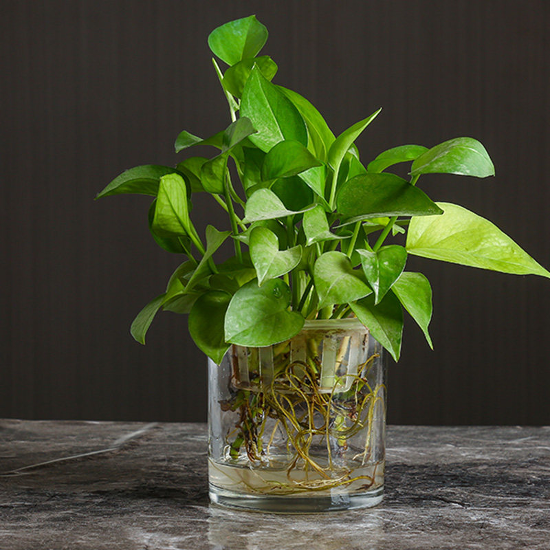 包邮 机压直筒花瓶 玻璃 透明 水培 圆柱形鱼缸 落地式 婚庆路引