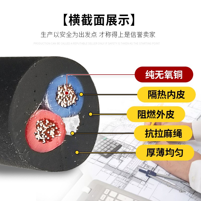 纯铜芯电线软线带插头1.52.5 4平方家用L电缆线2芯户外防冻电源线