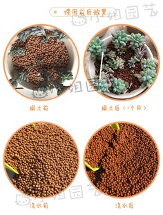 猫小姐多元土多肉铺面颗粒多元素营养土园艺植物种植土球球活力土