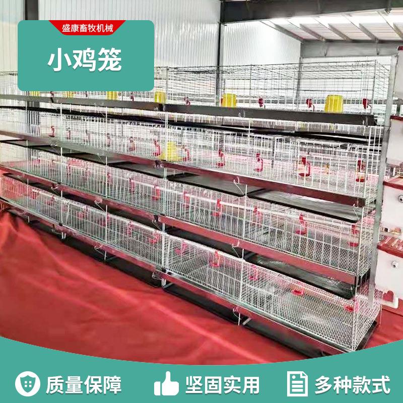 小鸡笼 养殖场蛋鸡笼子家用鸡鸭特大号三层双边阶梯式镀锌铁丝笼