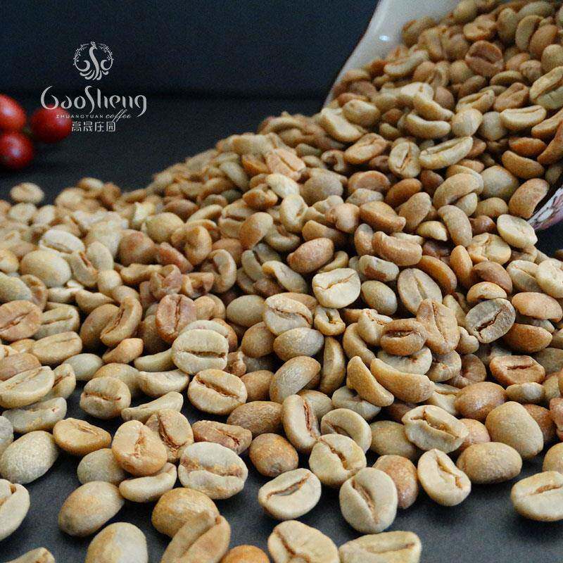 高晟庄园 厌氧日晒咖啡生豆云南咖啡阿拉比卡蒂姆新产季手冲意式