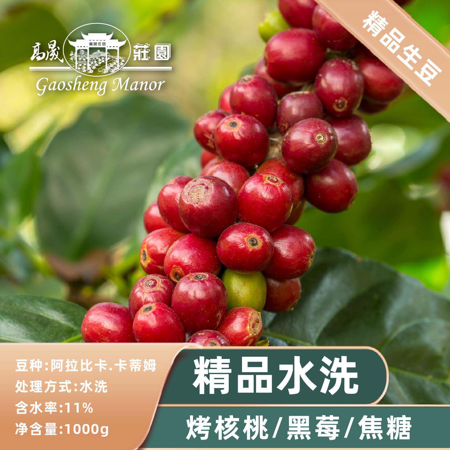 高晟庄园 精品水洗 咖啡生豆1000g云南保山阿拉比卡新豆
