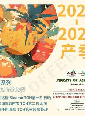 Bob埃塞俄比亚2425产季TOH排名合集精品微批次手冲咖啡豆227克