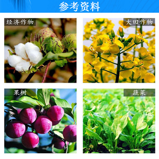 郑氏化工磷酸二氢钾磷钾肥园艺花卉盆栽水溶叶面肥月季君子兰花肥