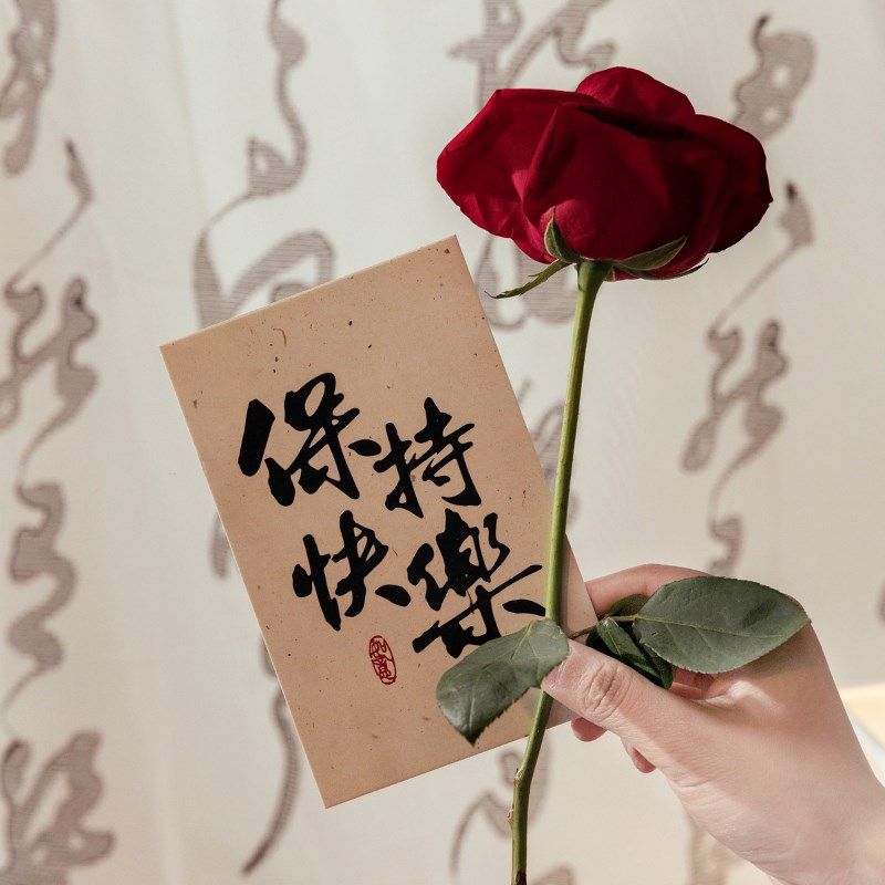 朝雨 喜乐如常手写书法明信片国风治愈励志语录小卡片高级感贺卡,文具电教/文化用品/商务用品,贺卡/明信片,淘宝优惠券,粉丝福利购,淘宝优惠卷