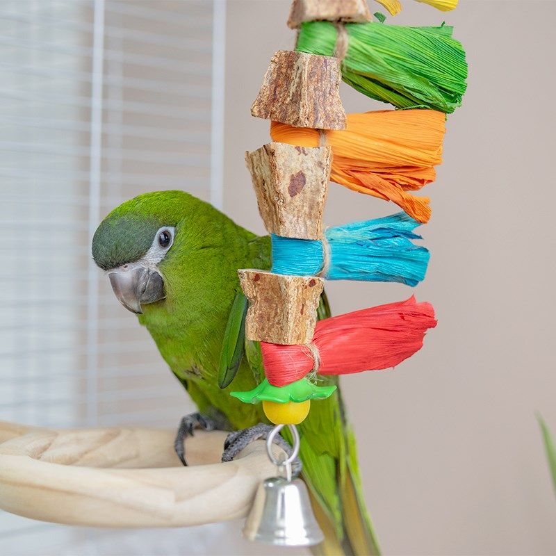 千鹦鸟舍鹦鹉玩具啃咬解闷玄凤虎皮牡丹鸟笼玩具鹦鹉专用秋千站架,宠物/宠物食品及用品,鸟玩具,淘宝优惠券,粉丝福利购,淘宝优惠卷