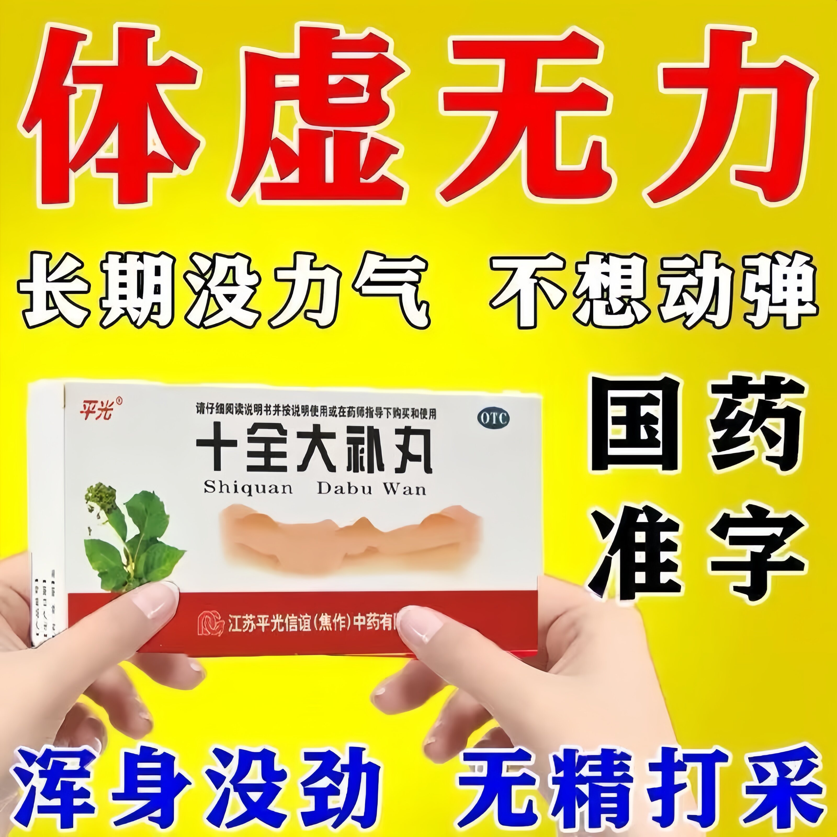 【平光】十全大补丸9g*10丸/盒