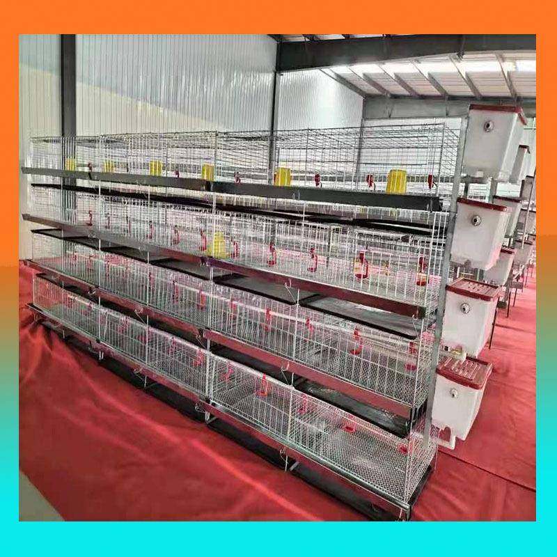 小鸡笼 育雏笼 四层八门小鸡笼 养殖场用育雏笼鸡笼子,农机/农具/农膜,农用防护器具,淘宝优惠券,粉丝福利购,淘宝优惠卷