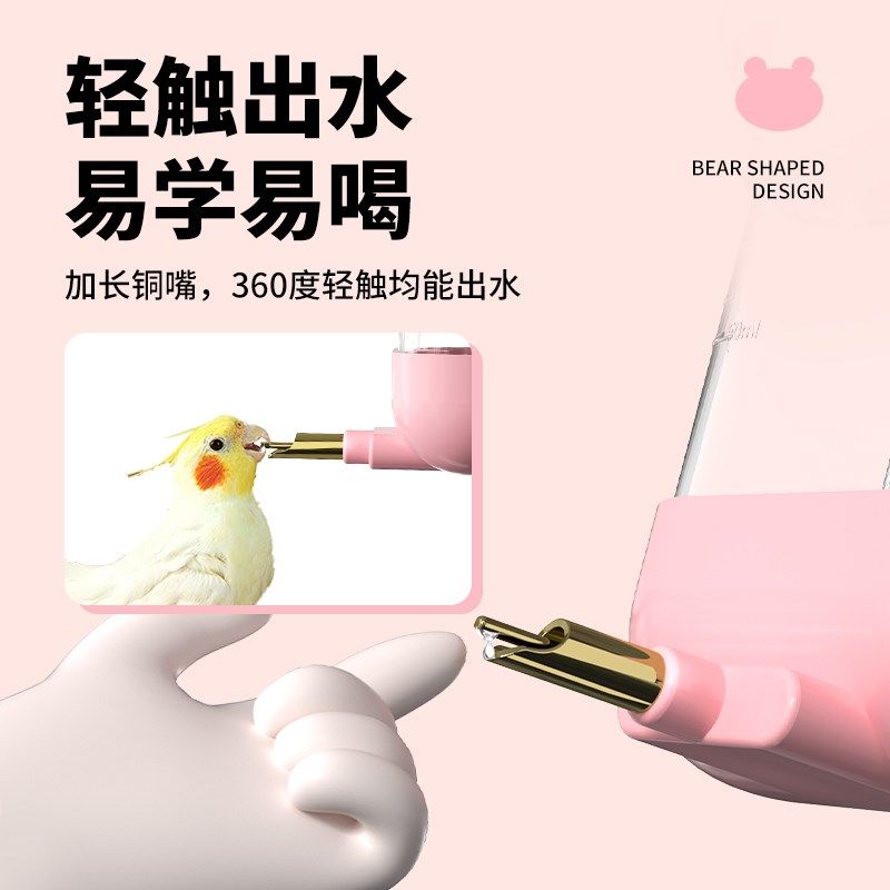 鹦鹉鸟用饮水器大号撞针喝水壶虎皮牡丹玄凤大容量喂水器鸟笼用品,宠物/宠物食品及用品,鸟禽喂食器/喂水器,淘宝优惠券,粉丝福利购,淘宝优惠卷