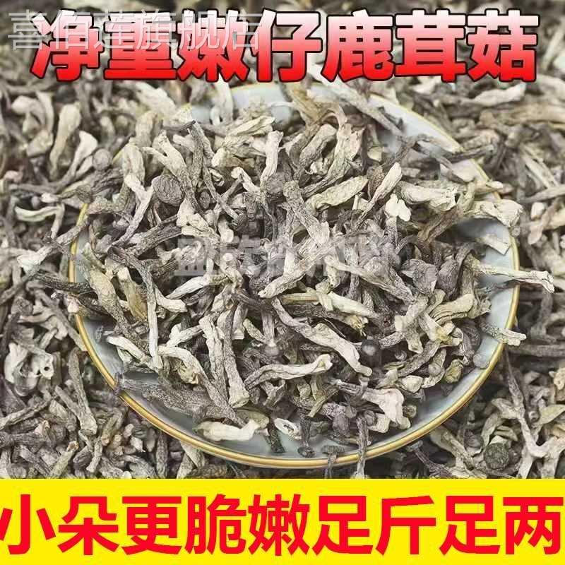 鹿茸菇嫩仔干货无熏硫鹿茸菌鹿耳菇枇杷叶煲汤官方旗舰店