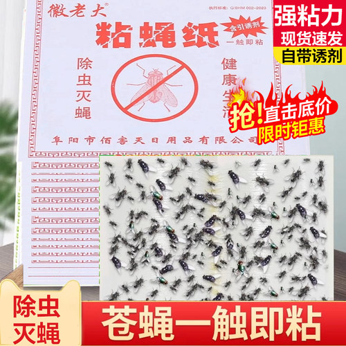 粘蝇纸苍蝇贴强力粘蝇板灭蚊子克星捕捉器飞虫隐形自带饭店灭蝇