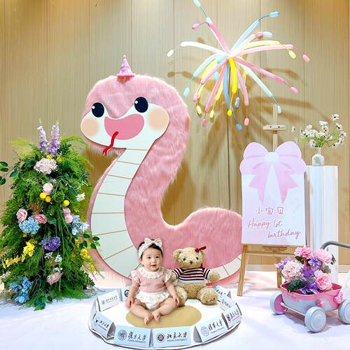 蛇宝周摄岁影长毛蛇拍照KT板道具粉色宝BUR宝宝生日布置森花艺背