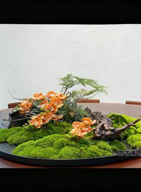 餐桌中间摆花大圆景桌盘QWU装饰永苔藓蝴蝶兰花转艺生桌花观造景