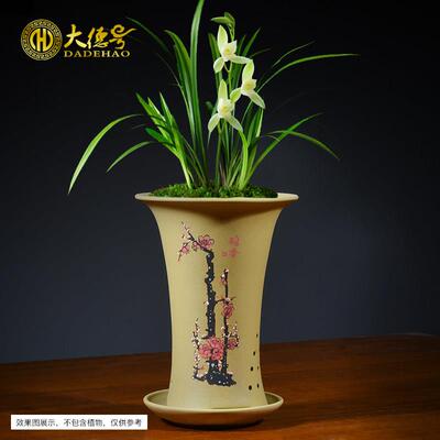 兴紫砂兰花花盆梅竹宜菊家用花带盆兰陶瓷大号兰草兰花专用盆3.21