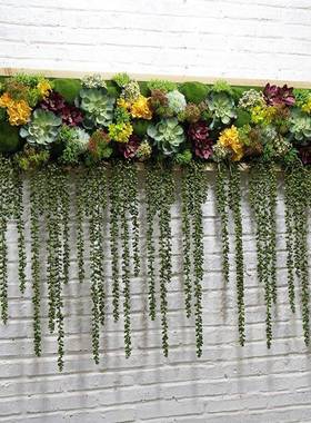 真植物壁挂绿植墙面装饰假花所走廊饭厅彷办公DFP场绿植装饰北欧