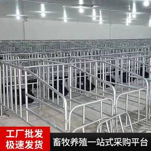 限位栏猪用母猪定位栏加厚镀锌管落地式 厂家定制落地式 养猪设备