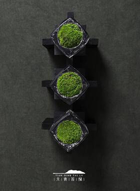 天苔青绿 中式藓碳化木底座永生苔摆组合 样板间展柜电TQMA0057视