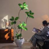 掬孟生加榕仿拉真涵绿植室内客厅落地装 饰高端轻奢大HH37243型仿