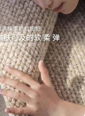 【大宅ZJW标配】西进口客厅羊毛纽地轻奢毯侘寂风耐脏卧室纯色兰