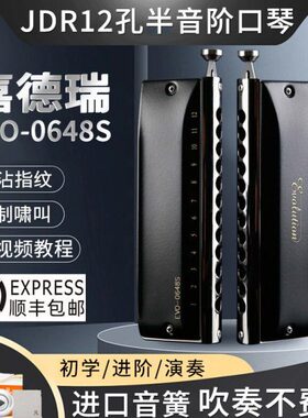 嘉德瑞C6调音半音阶C调EVO-0648s口琴12孔十二孔专业演奏级初学者