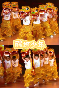 醒狮少年舞蹈服中华舞狮道具醒狮大会叮叮当当舞狮少年演出服道具