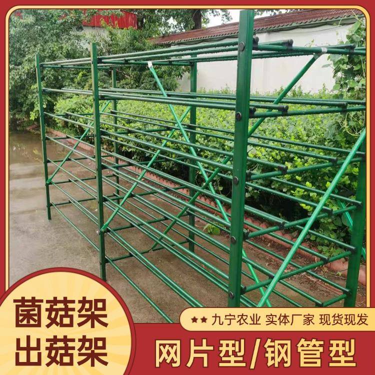 菌菇温室大棚出菇铁网格柳树菇蘑菇种植架秀珍菇多层种植架
